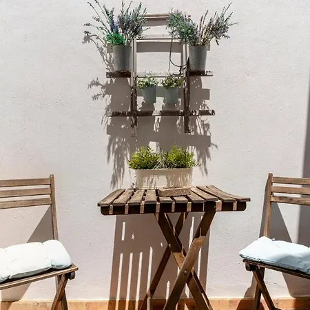 Casa Oliveira Lagos